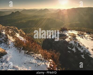 In den Felsen Tauwetter. Verträumt nebligen Wald landschaft. Majestätischen Gipfel der alten Bäume schneiden Beleuchtung Nebel. Tiefe Tal Stockfoto