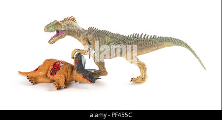 Allosaurus mit einem triceratops Körper in der Nähe auf weißem Hintergrund Stockfoto