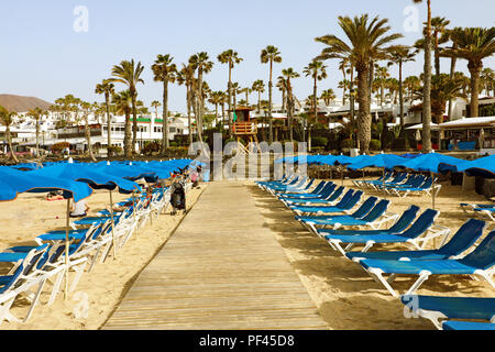 Reihen von leeren Strand Chaiselongue mit Sonnenschirmen am Strand mit Palmen im Hintergrund am frühen Morgen Stockfoto