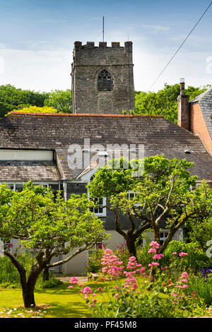 England, Cornwall Padstow, St petroc's Kirche Turm über dem Dorf Haus Garten Stockfoto