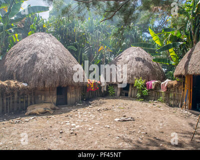 Wamena, Indonesien - Januar 23, 2015: Hütte mit trockenen Blättern der Banane in den Dani Stamm Dorf abgedeckt. Auch Ndani geschrieben. Dani Stamm in Bal Stockfoto