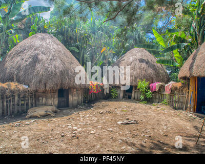 Wamena, Indonesien - Januar 23, 2015: Hütte mit trockenen Blättern der Banane in den Dani Stamm Dorf abgedeckt. Auch Ndani geschrieben. Dani Stamm in Bal Stockfoto