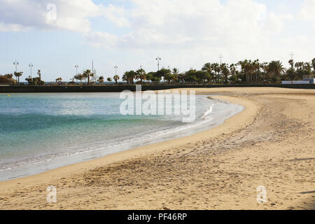 Playa del Reducto Strand mit Palmen im Hintergrund, Arrecife, Lanzarote Stockfoto