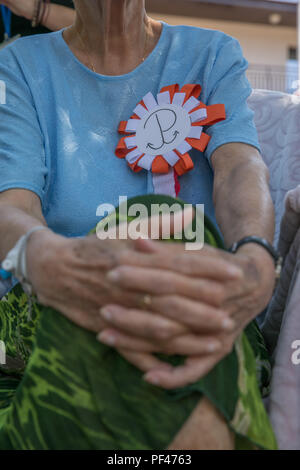 Die Hand der alten Frau mit weißen und roten cotillion mit überlagert Anker Emblem der polnische Widerstand. Jahrestag des Warschauer Aufstandes. Polnische sy Stockfoto