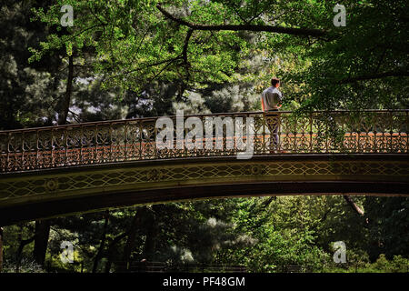 Pine Bank Bogen wurde 1861 von J.B. und W.W. gebaut Cornell Eisenhütten, dies ist eine der wenigen verbliebenen Gusseisen Brücken im Central Park. Stockfoto