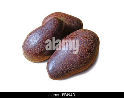 3 reife Avocados ganze Früchte isoliert auf weißem Hintergrund Stockfoto