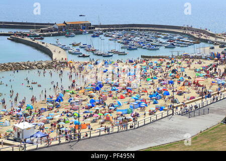 Der Cobb und Sandstrand im Ferienort Lyme Regis, Dorset verpackt mit Sonnenanbeter und bunten Sonnenschirmen Stockfoto