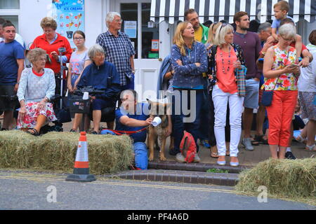 Hund Trinkwasser aus Teetasse während Bier Regatta event Stockfoto