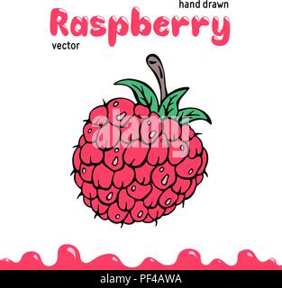 Himbeere Vektor-illustration, Berry clipart. Cartoon himbeere Vector Illustration für Logo, Design. Farbige himbeere Vector Illustration für Menü, Paket. Doodle berry Clipart, Himbeere isoliert. Stock Vektor