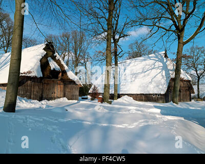 Naturpark Lüneburger Heide, Winter, Emhof, Wilsede, Gemeinde Bispingen, Landkreis Diepholz, Niedersachsen, Deutschland | Naturpark L Stockfoto