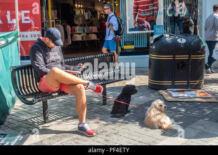 Ein Mann sitzt auf einer Bank mit seinen zwei Haustier Hunde an der Leine in Peascod Straße in Windsor, UK. Stockfoto