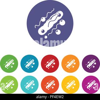 Corynebacterium Icons Set Vector Farbe Stock Vektor