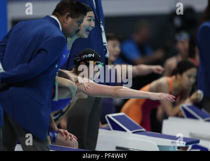 Jakarta, Indonesien. 19 Aug, 2018. Team Japan Frauen feiern nach 4 x 100 m Freistilstaffel endgültig im 18. asiatischen Spiele in Jakarta, Indonesien, Nov. 19, 2018. Credit: Fei Maohua/Xinhua/Alamy leben Nachrichten Stockfoto