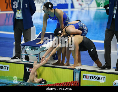 Jakarta, Indonesien. 19 Aug, 2018. Team Japan Frauen feiern nach 4 x 100 m Freistilstaffel endgültig im 18. asiatischen Spiele in Jakarta, Indonesien, Nov. 19, 2018. Credit: Li Xiang/Xinhua/Alamy leben Nachrichten Stockfoto