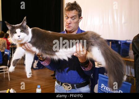 Sao Paulo, Brasilien. 19 Aug, 2018. Eine Katze ist bei einem Wettbewerb eine Ausstellung Club auf der Avenida Paulista in Sao Paulo inspiziert. Credit: Dario Oliveira/ZUMA Draht/Alamy leben Nachrichten Stockfoto