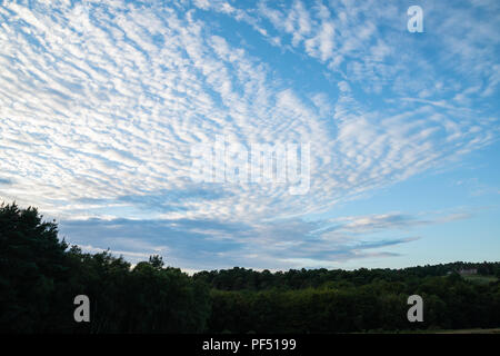 Atemberaubende Makrele Himmel - altocumulus Wolkenformationen im Sommer himmel landschaft Stockfoto