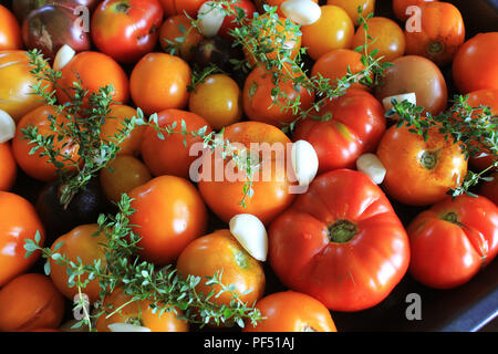 Für gebratene Tomaten mit Kräutern, Knoblauch und Balsamico, selektiven Fokus bereit Stockfoto