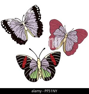 Set Schmetterlinge Cartoon zeichnen, Vector Illustration. Abstraktion gezeichnet Insekt Ansicht von oben mit farbenfrohen bunten Flügel isoliert auf weiß zurück Stock Vektor