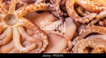 Essen Hintergrund der rohen Tintenfisch vorbereitet für das Kochen Stockfoto