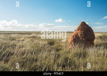 Red Termite Hill standing in trockenem Gras Land mit blauem Himmel Stockfoto