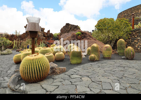Tropische Kakteengarten Jardin de Cactus in Guatiza Dorf, Lanzarote, Kanarische Inseln Stockfoto