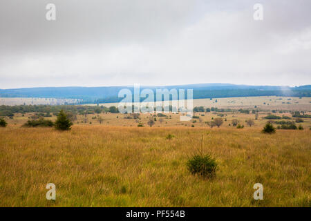 Auf dem Plateau der Hohen Moor Hohe Venn im Osten von Belgien. auf dem Plateau des Hochmoors Hohes Venn, Belgien. Stockfoto