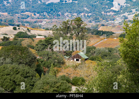 Schöne Aussicht auf die Oberseite von Sonoma Mountain Regional Park, CA Stockfoto