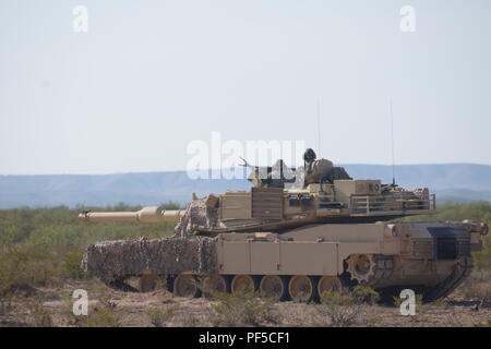 Das 1st Squadron, 150th Cavalry Regiment der West Virginia National Guard, nahm am 14. August 2018 an der Operation Hickory Sting in Fort Bliss, Texas, teil. Das archivierte Fotoarchiv dokumentiert Trainingsübungen, die Kampffähigkeiten wie Schießen, Bewegen, Kommunizieren und Sustain für multinationale und Multi-State-Streitkräfte betonen. Stockfoto