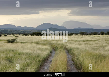 Mount Lolokwe und Landschaft der Buffalo Springs und Samburu Game Reserves bei bewölktem Himmel, Kenia Stockfoto