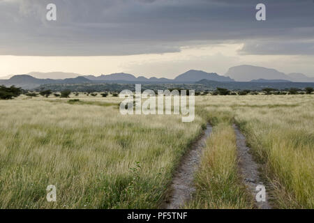 Mount Lolokwe und Landschaft der Buffalo Springs und Samburu Game Reserves bei bewölktem Himmel, Kenia Stockfoto