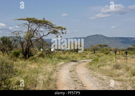 Straße in Buffalo Springs/Samburu Game Reserve, Kenia Landebahn Stockfoto