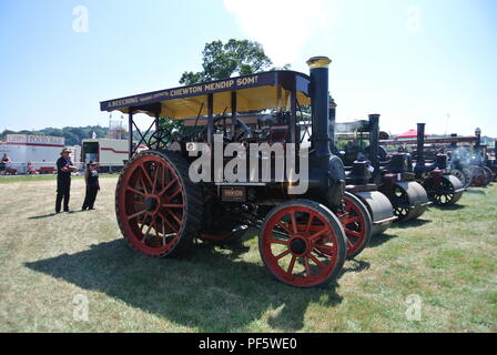 Eine Linie von Dampf betriebenen landwirtschaftlichen Zugmaschinen auf Anzeige an der Torbay Steam Fair, Churston, Devon, England, UK. Stockfoto