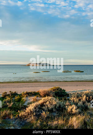 Isla de los Pajaros, die Halbinsel Valdes, UNESCO-Weltkulturerbe, Provinz Chubut, Patagonien, Argentinien Stockfoto