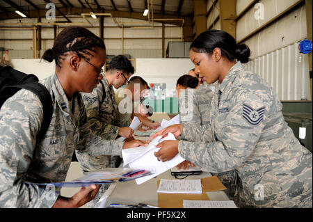 Mitglieder der 927th Aeromedical Staging Squadron in-process in Übung Patriot Krieger auf Aug 9, 2018 at Fort McCoy, Wisconsin. Patriot Krieger besteht aus gemeinsamen Kräfte aus dem ganzen Land zu präsentieren, Einsatzmöglichkeiten und erhöhen die Bereitschaft. (U.S. Air Force Foto: Staff Sgt. Xavier Lockley) Stockfoto