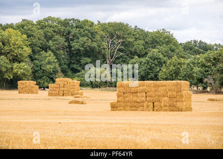 Heu querhölzer auf einem englischen Farm, England, Großbritannien Stockfoto