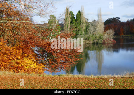 Herbst auf dem Gelände von Blenheim Palace, Großbritannien Stockfoto