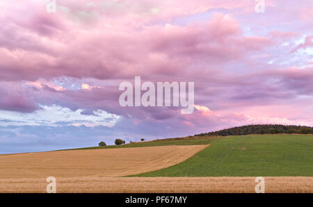 Sauerland, Deutschland - Ackerland mit gelben Feldern und grünen Weide bei Sonnenuntergang mit dramatischen lila Wolken über der Baumgrenze und in der Ferne Stockfoto