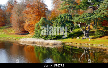Herbst auf dem Gelände von Blenheim Palace, Großbritannien Stockfoto