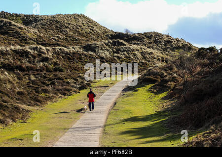 Ein Mann seine Hunde zu Fuß entlang der Promenade durch Grünland zu Dünen führende, Murlough Beach, Newcastle, County Down, Nordirland. Stockfoto