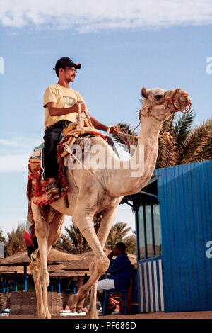 Hurghada, Ägypten - 22. Oktober 2006: Der Mann aus Ägypten auf einem Kamel ritt auf einen schönen Sommertag. In Ägypten, Kamele sind wie die Tiere für den Transport verwendet. Stockfoto