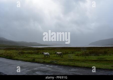 B8083 am Loch Slapin, Isle of Skye, Schottland Stockfoto