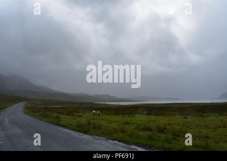 Loch Slapin, Isle Of Skye, Schottland Stockfoto