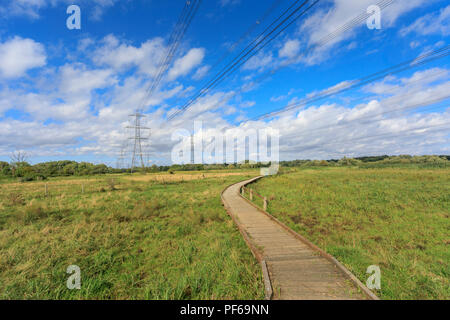 Strommasten und der Promenade durch das untere Test Sümpfe, ein Naturschutzgebiet zwischen Totton und Redbridge, Southampton, Hampshire, Großbritannien Stockfoto