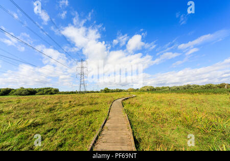 Strommasten und der Promenade durch das untere Test Sümpfe, ein Naturschutzgebiet zwischen Totton und Redbridge, Southampton, Hampshire, Großbritannien Stockfoto