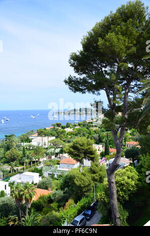 Blick auf Cap Ferrat und die umliegende Küste der Cote D'Azur und der französischen Riviera Stockfoto