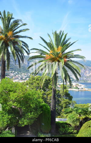 Blick auf Cap Ferrat und die umliegende Küste der Cote D'Azur und der französischen Riviera Stockfoto