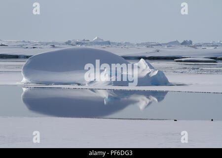 Kleine abgerundete Eisberg in Wermut in der Meerenge zwischen den Inseln in der Nähe der Antarktischen Halbinsel eingefroren Stockfoto