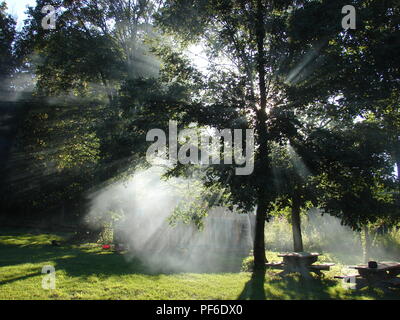 Blasse Morgensonne Filter durch den leichten Dunst der Rauch von einem glücklichen kleinen Lagerfeuer. Stockfoto