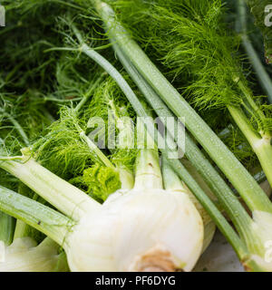 Ich wusste nicht, dass ich Fenchel liebte, bis ich das gemacht habe! Stockfoto