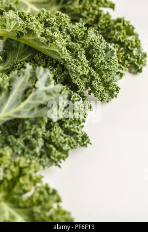 Frische grüne Blätter von Kale auf weißem Hintergrund. Saubere Konzept essen. Stockfoto